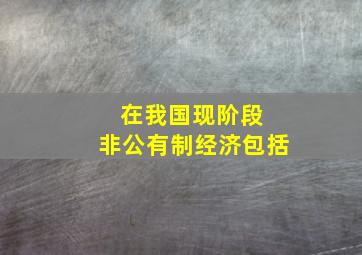 在我国现阶段 非公有制经济包括